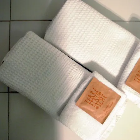 La Biccherna 锡耶纳